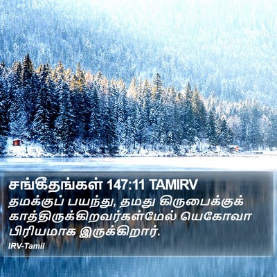 சங்கீதங்கள் 147:11 TAMIRV Bible Verse Image