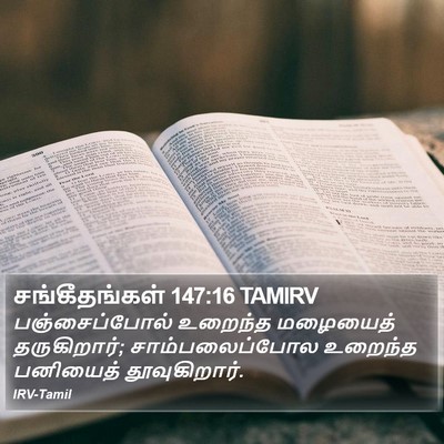 சங்கீதங்கள் 147:16 TAMIRV Bible Verse Image