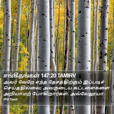 சங்கீதங்கள் 147:20 TAMIRV Bible Verse Image