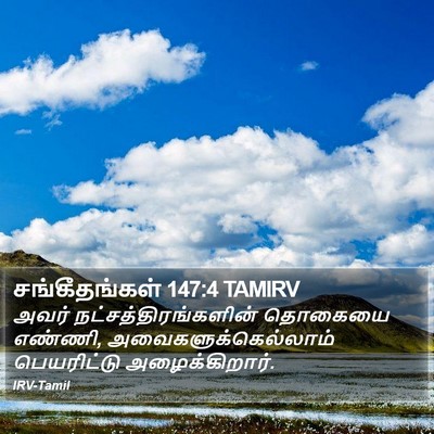 சங்கீதங்கள் 147:4 TAMIRV Bible Verse Image
