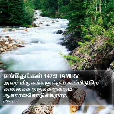 சங்கீதங்கள் 147:9 TAMIRV Bible Verse Image