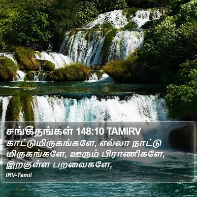 சங்கீதங்கள் 148:10 TAMIRV Bible Verse Image