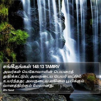 சங்கீதங்கள் 148:13 TAMIRV Bible Verse Image