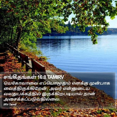 சங்கீதங்கள் 16:8 TAMIRV Bible Verse Image