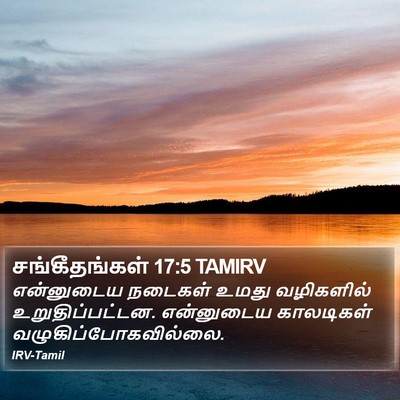 சங்கீதங்கள் 17:5 TAMIRV Bible Verse Image