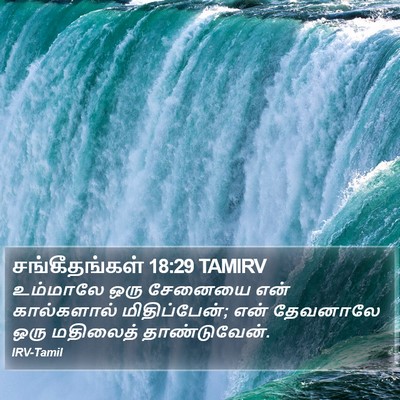 சங்கீதங்கள் 18:29 TAMIRV Bible Verse Image