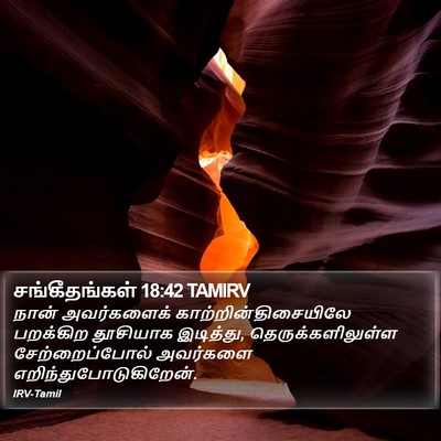 சங்கீதங்கள் 18:42 TAMIRV Bible Verse Image