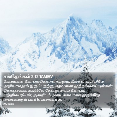 சங்கீதங்கள் 2:12 TAMIRV Bible Verse Image