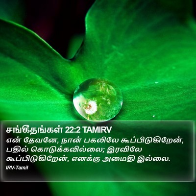 சங்கீதங்கள் 22:2 TAMIRV Bible Verse Image