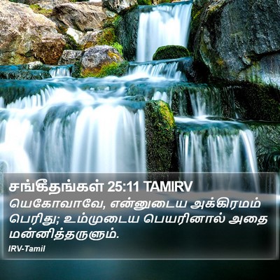 சங்கீதங்கள் 25:11 TAMIRV Bible Verse Image