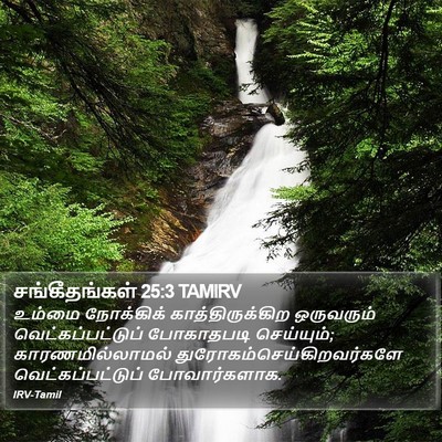 சங்கீதங்கள் 25:3 TAMIRV Bible Verse Image