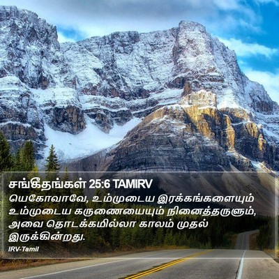 சங்கீதங்கள் 25:6 TAMIRV Bible Verse Image