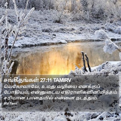 சங்கீதங்கள் 27:11 TAMIRV Bible Verse Image