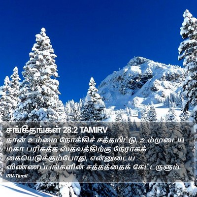 சங்கீதங்கள் 28:2 TAMIRV Bible Verse Image