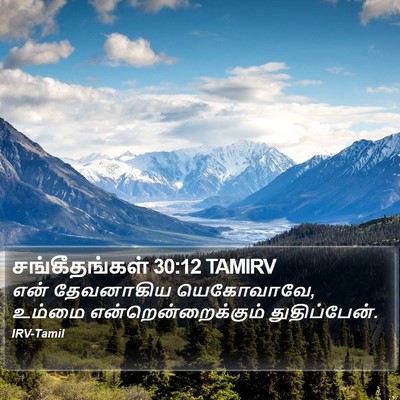 சங்கீதங்கள் 30:12 TAMIRV Bible Verse Image