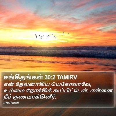 சங்கீதங்கள் 30:2 TAMIRV Bible Verse Image