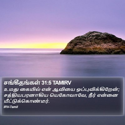 சங்கீதங்கள் 31:5 TAMIRV Bible Verse Image