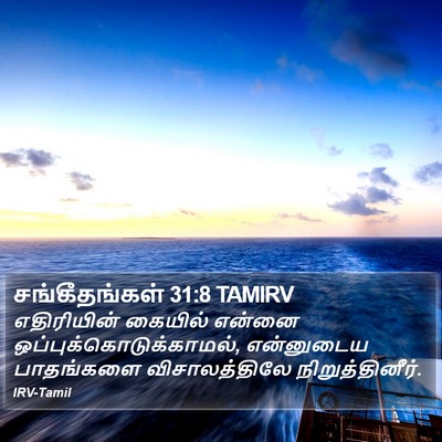 சங்கீதங்கள் 31:8 TAMIRV Bible Verse Image