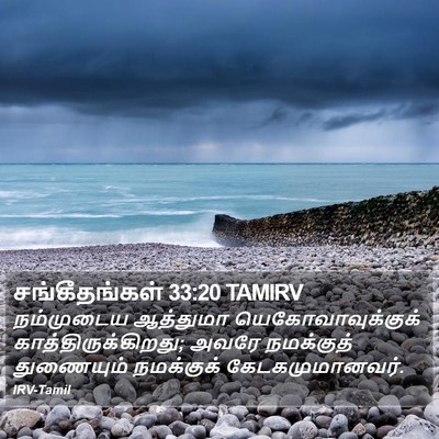 சங்கீதங்கள் 33:20 TAMIRV Bible Verse Image