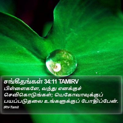 சங்கீதங்கள் 34:11 TAMIRV Bible Verse Image