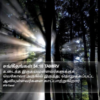 சங்கீதங்கள் 34:18 TAMIRV Bible Verse Image