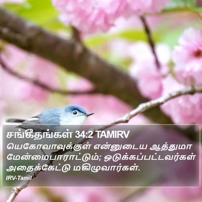 சங்கீதங்கள் 34:2 TAMIRV Bible Verse Image