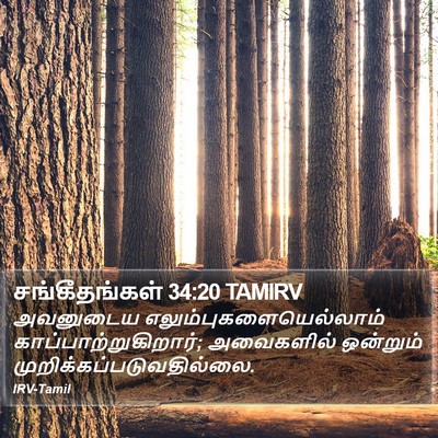 சங்கீதங்கள் 34:20 TAMIRV Bible Verse Image
