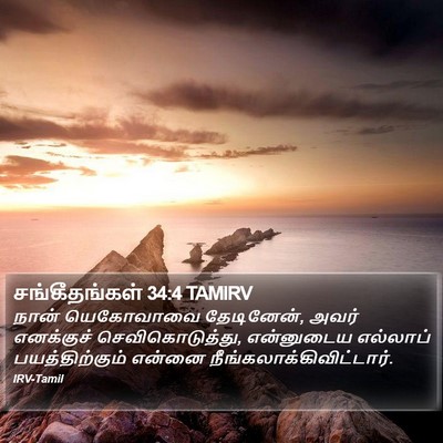 சங்கீதங்கள் 34:4 TAMIRV Bible Verse Image