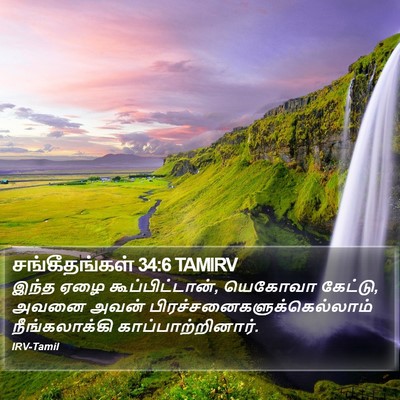 சங்கீதங்கள் 34:6 TAMIRV Bible Verse Image