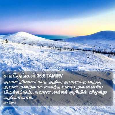 சங்கீதங்கள் 35:8 TAMIRV Bible Verse Image