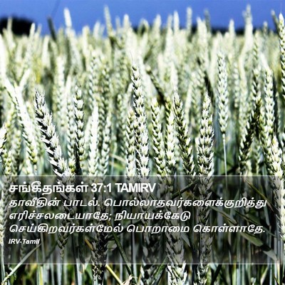 சங்கீதங்கள் 37:1 TAMIRV Bible Verse Image