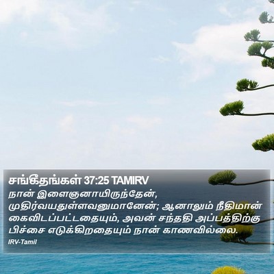 சங்கீதங்கள் 37:25 TAMIRV Bible Verse Image