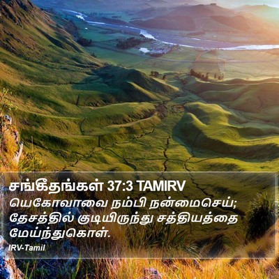 சங்கீதங்கள் 37:3 TAMIRV Bible Verse Image