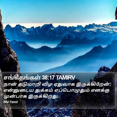 சங்கீதங்கள் 38:17 TAMIRV Bible Verse Image