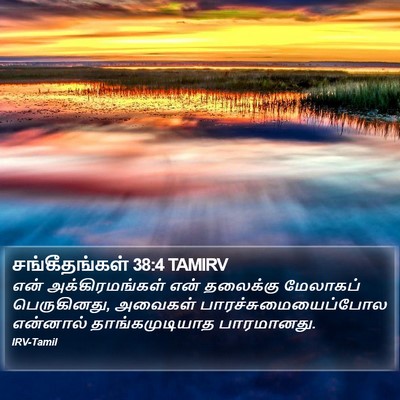 சங்கீதங்கள் 38:4 TAMIRV Bible Verse Image