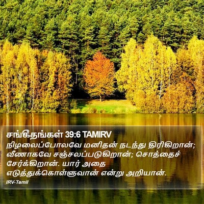 சங்கீதங்கள் 39:6 TAMIRV Bible Verse Image
