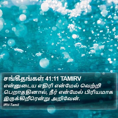 சங்கீதங்கள் 41:11 TAMIRV Bible Verse Image