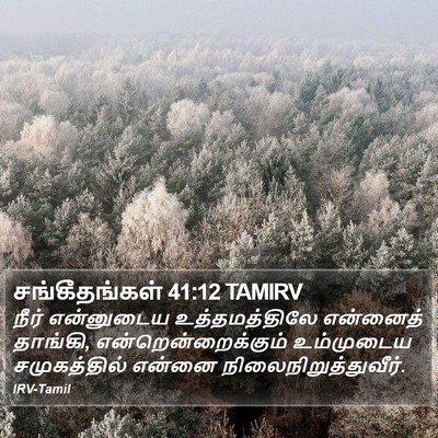 சங்கீதங்கள் 41:12 TAMIRV Bible Verse Image