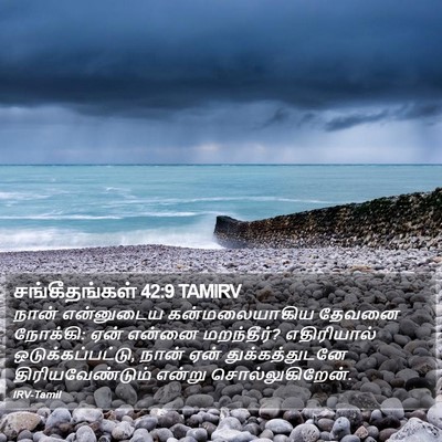 சங்கீதங்கள் 42:9 TAMIRV Bible Verse Image