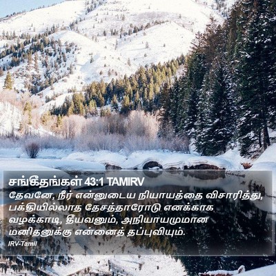 சங்கீதங்கள் 43:1 TAMIRV Bible Verse Image