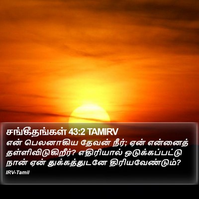 சங்கீதங்கள் 43:2 TAMIRV Bible Verse Image