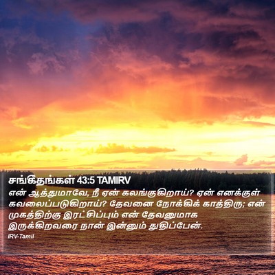 சங்கீதங்கள் 43:5 TAMIRV Bible Verse Image