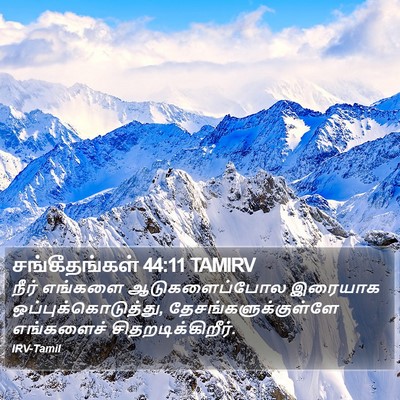 சங்கீதங்கள் 44:11 TAMIRV Bible Verse Image