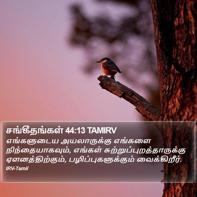 சங்கீதங்கள் 44:13 TAMIRV Bible Verse Image