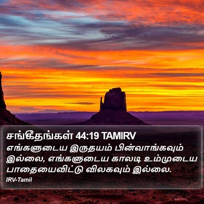 சங்கீதங்கள் 44:19 TAMIRV Bible Verse Image