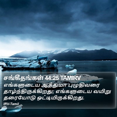 சங்கீதங்கள் 44:25 TAMIRV Bible Verse Image