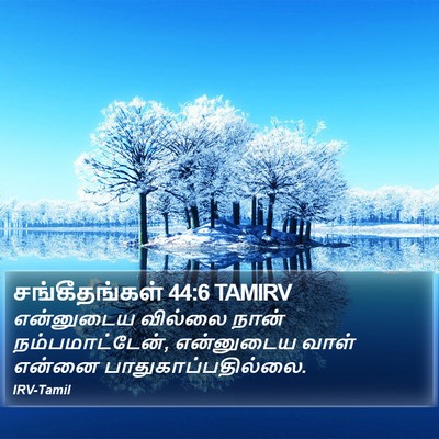 சங்கீதங்கள் 44:6 TAMIRV Bible Verse Image