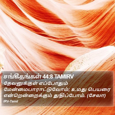 சங்கீதங்கள் 44:8 TAMIRV Bible Verse Image