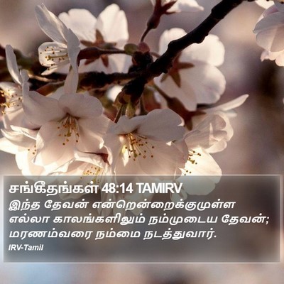 சங்கீதங்கள் 48:14 TAMIRV Bible Verse Image