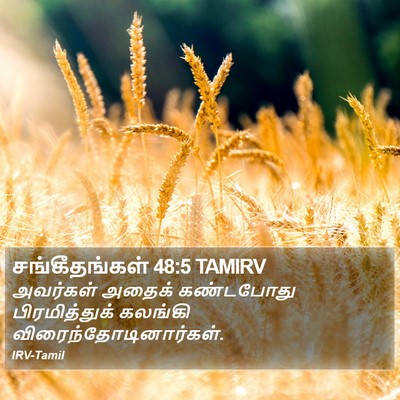 சங்கீதங்கள் 48:5 TAMIRV Bible Verse Image